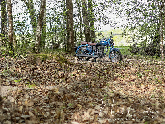 Royal Enfield Despatch-1073