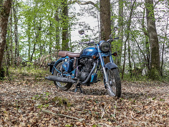 Royal Enfield Despatch-1072