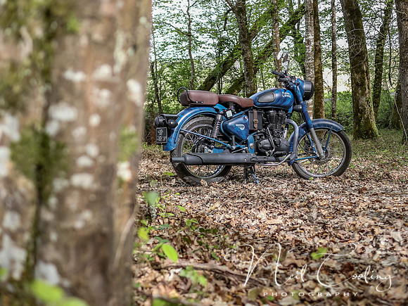 Royal Enfield Despatch-1071