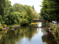 IMG_4624-5