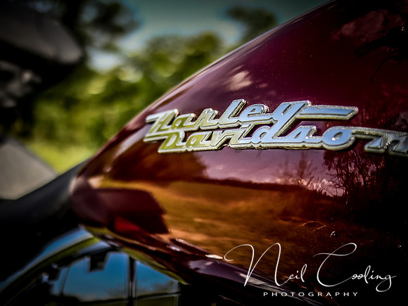 Harley Davidson Road King-1183-2