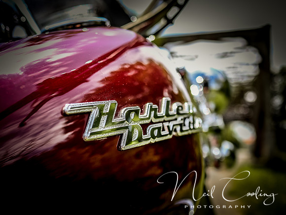 Harley Davidson Road King-1187-2