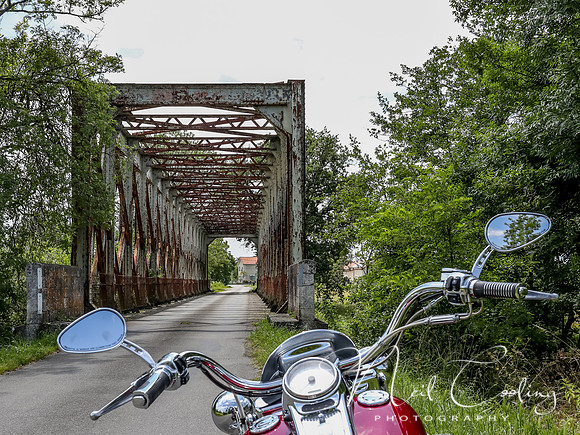 Harley Davidson Road King-1194