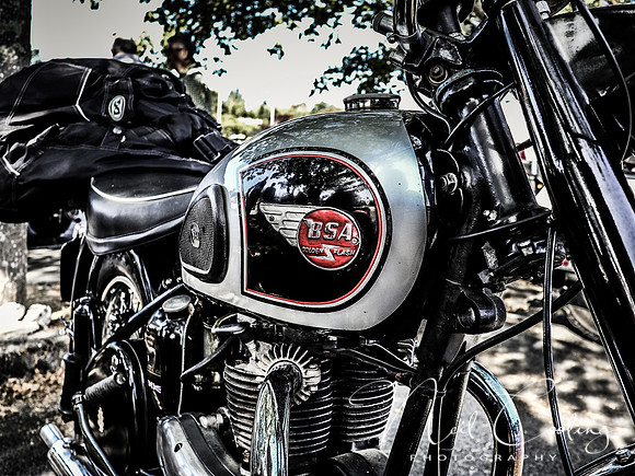 American Classics, Bergerac-1536