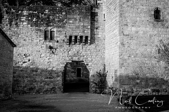 IMG_8479-20