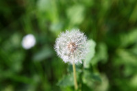 NC 5d_2012_05_03_0236