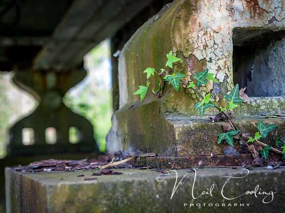 IMG_4353-5