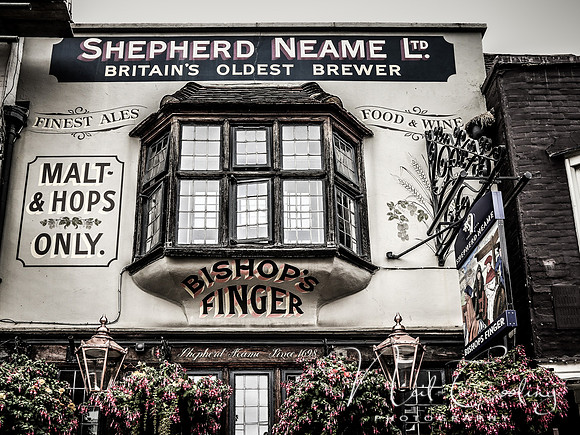Canterbury (3 of 13) - 0439