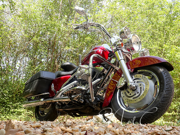 Harley Davidson Road King Custom-1924