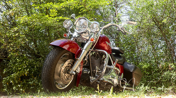 Harley Davidson Road King Custom-1929