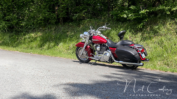 Harley Davidson Road King Custom-1942