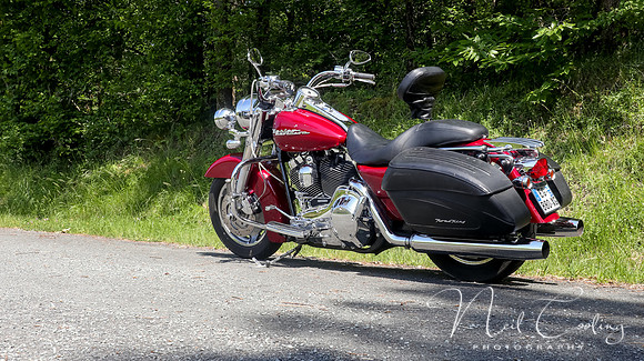 Harley Davidson Road King Custom-1943