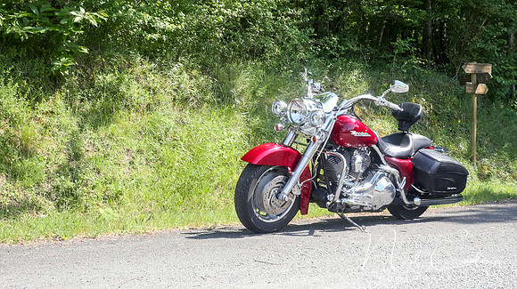 Harley Davidson Road King Custom-1945