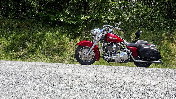 Harley Davidson Road King Custom-1952