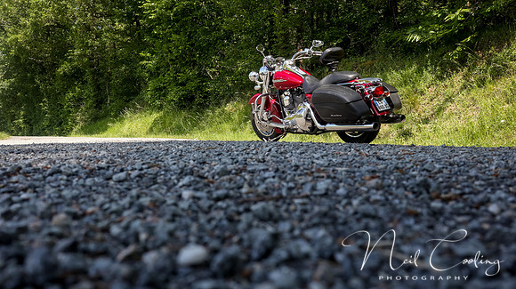 Harley Davidson Road King Custom-1954