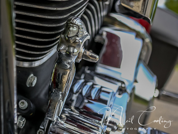 Harley Davidson Road King-1191