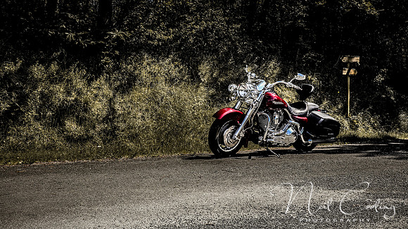 Harley Davidson Road King Custom -1951