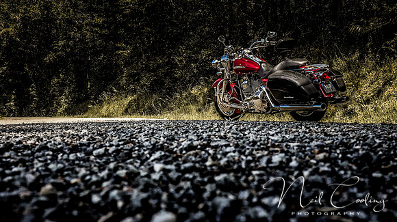 Harley Davidson Road King Custom -1954