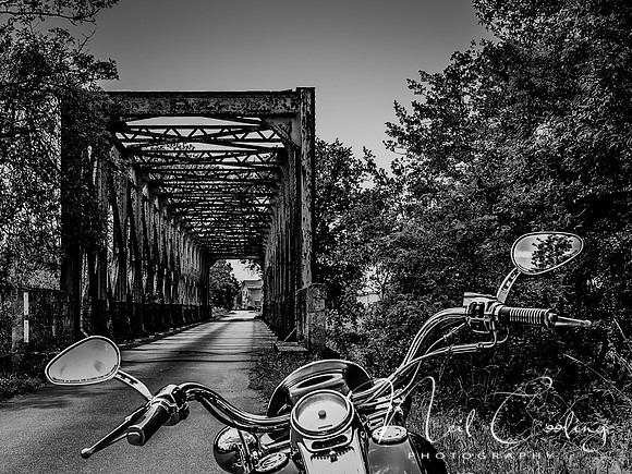 Harley Davidson Road King Custom -1194-2