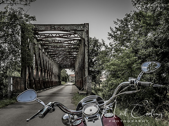 Harley Davidson Road King Custom -1194