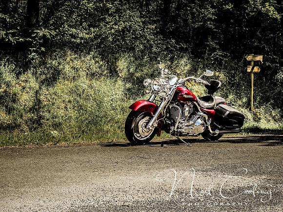 Road King-1951