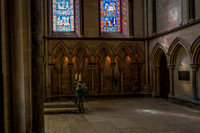 Lincoln Cathedral (17 of 29) - 5751