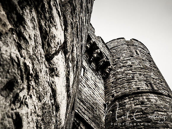 Canterbury (4 of 13) - 0441