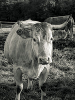 20211101-_OM00031-2