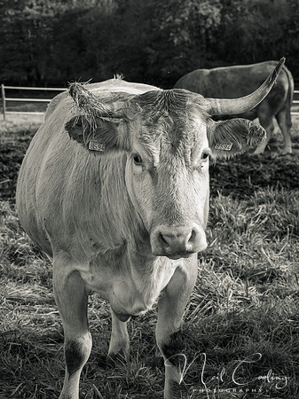 20211101-_OM00031-2