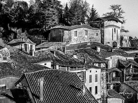 NCP_2013_12_20_3715aL-1