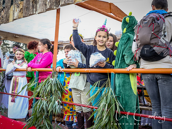 Riberac Carnaval 2019-0975