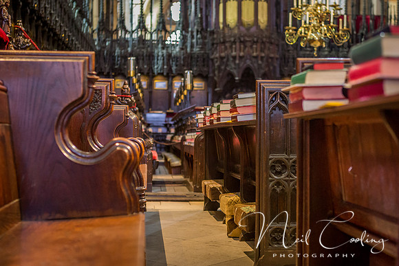 Lincoln Cathedral (21 of 29) - 5759