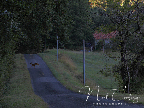 NCP_2013_08_16_3288a