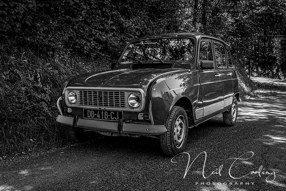 Renault 4GTL-1991-2