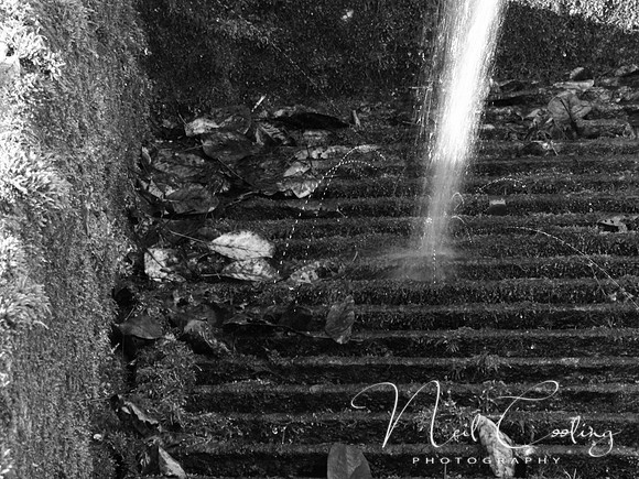 NCP_2014_01_12_3918b