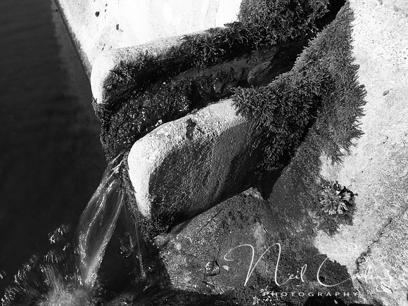 NCP_2014_01_12_3926b