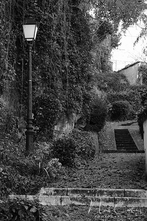 NCP_2013_12_20_3673b