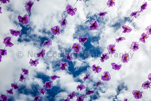 5D3_4208-8