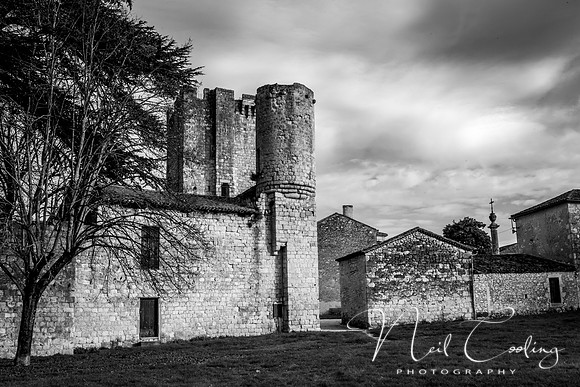 IMG_8472-14