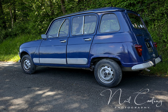 Renault 4GTL-1995