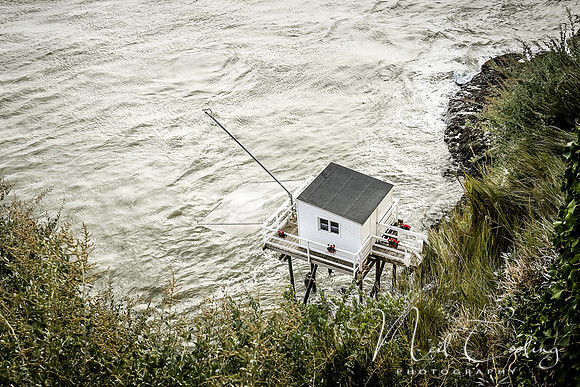 Mechers sur Gironde-2199-2