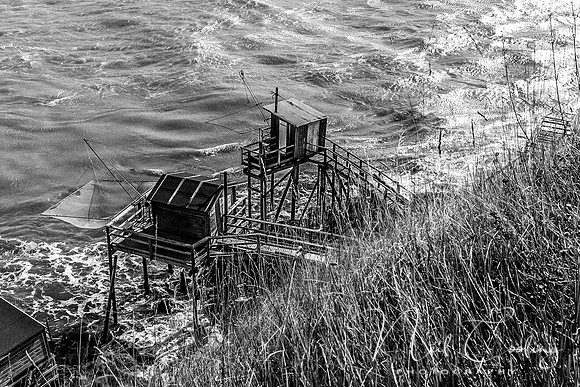 Mechers sur Gironde-2187-3