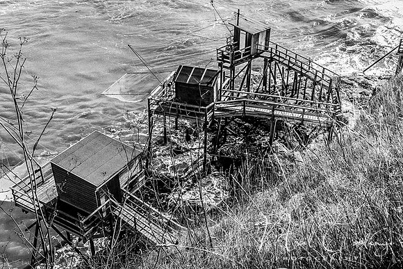 Mechers sur Gironde-2185-3