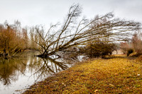 IMG_8404-1-2