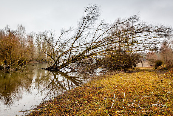 IMG_8404-1-2
