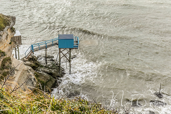 Mechers sur Gironde-2190