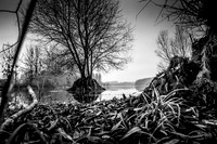 IMG_8413-2