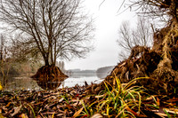 IMG_8413-2-2