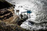 Mechers sur Gironde-2194-2