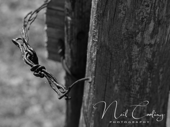 NCP_2013_09_03_3361a